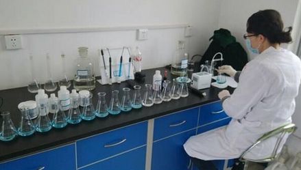 上海環(huán)境檢測(cè)咨詢服務(wù)有限公司