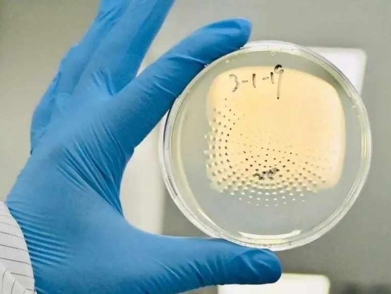 上海環(huán)境檢測咨詢服務(wù)有限公司 上海環(huán)境檢測咨詢服務(wù)有限公司