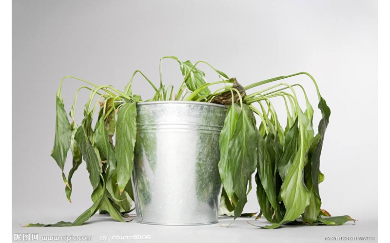 上海甲醛檢測機(jī)構(gòu)檢測室內(nèi)裝修頭號公敵甲醛